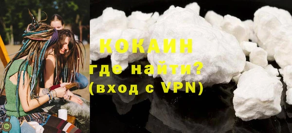 молекула духа Богородицк