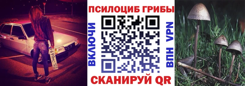 что такое наркотик Ессентукская Псилоцибиновые грибы Psilocybe