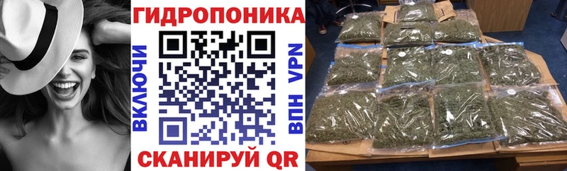 mega ссылка Ессентукская Каннабис SATIVA & INDICA купить наркотик